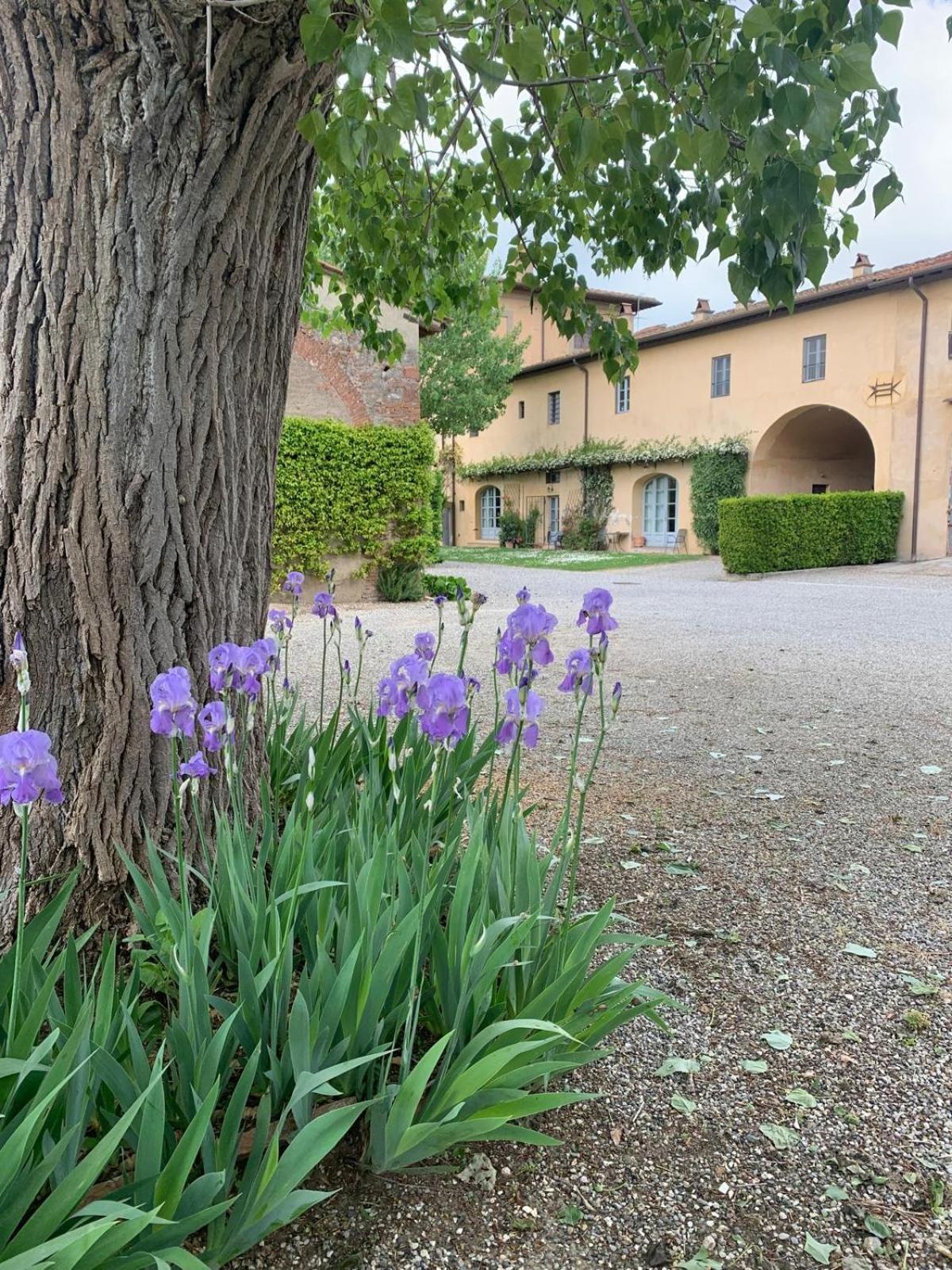 키쉬나 Agriturismo La Volta 빌라 외부 사진